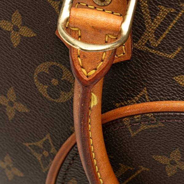 Pre-owned Louis Vuitton Monogram Ellipse PM Brown