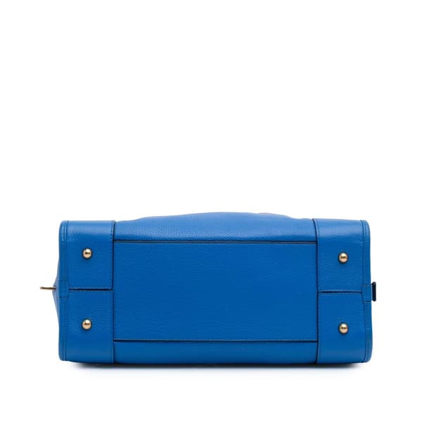 Pre-owned LOEWE Limited Edition Leather Amazona 28 Blue