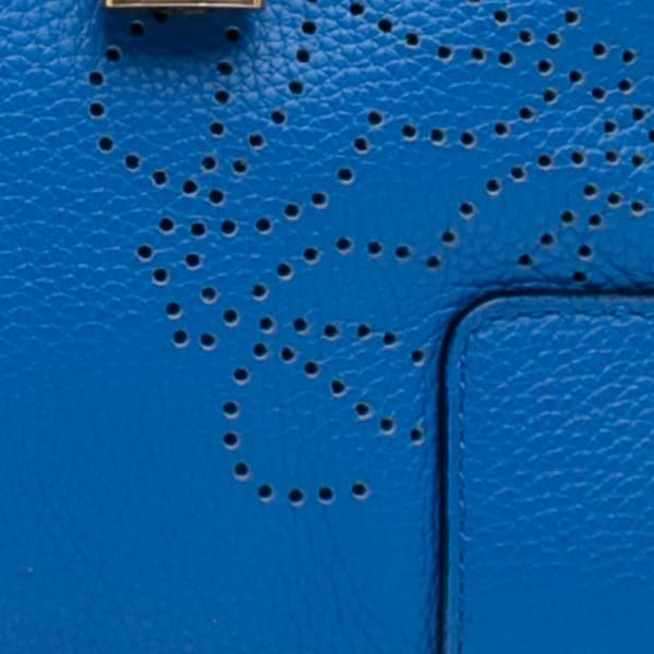 Pre-owned LOEWE Limited Edition Leather Amazona 28 Blue