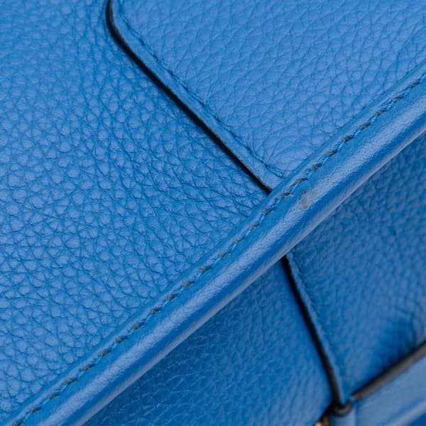 Pre-owned LOEWE Limited Edition Leather Amazona 28 Blue