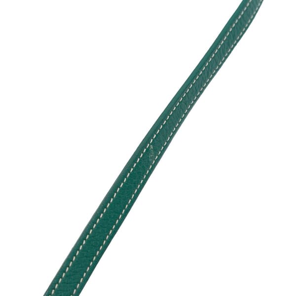 Pre-owned Goyard Mini Goyardine Saigon Souple Green