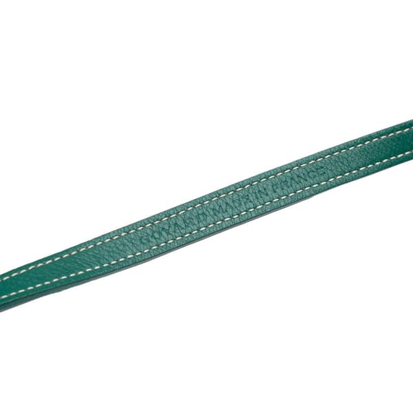 Pre-owned Goyard Mini Goyardine Saigon Souple Green