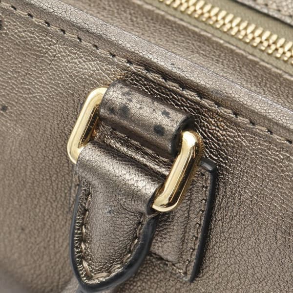 Pre-owned LOEWE Metallic Leather Amazona 28 Gold