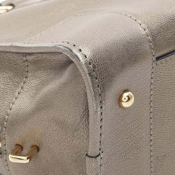 Pre-owned LOEWE Metallic Leather Amazona 28 Gold