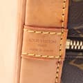 Miniatyrbild 5 av 10: Pre-owned Louis Vuitton Monogram Alma PM Brown