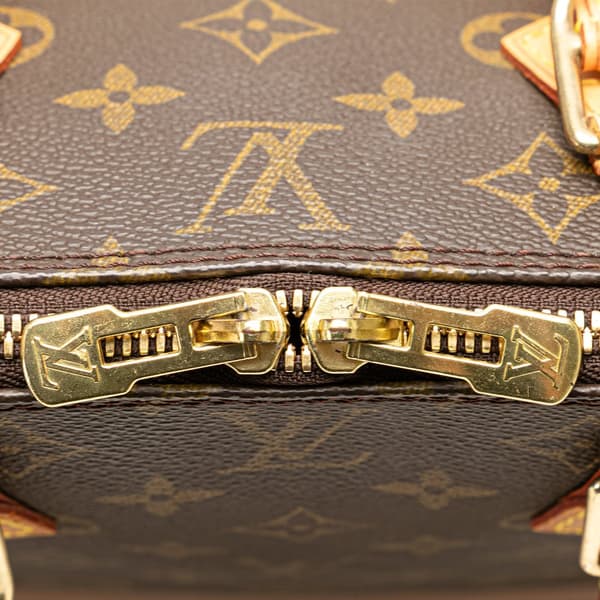 Pre-owned Louis Vuitton Monogram Alma PM Brown