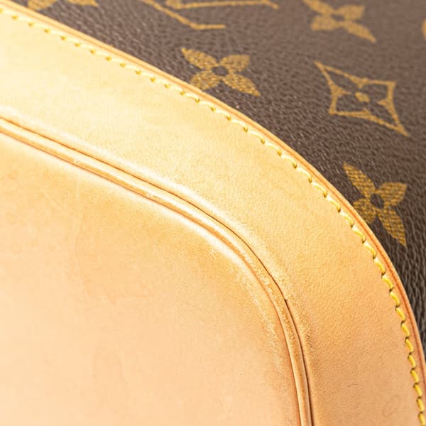 Pre-owned Louis Vuitton Monogram Alma PM Brown