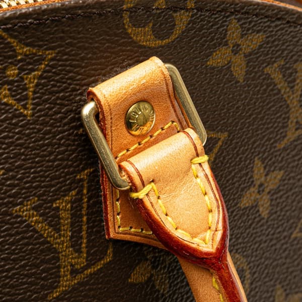 Pre-owned Louis Vuitton Monogram Ellipse MM Brown