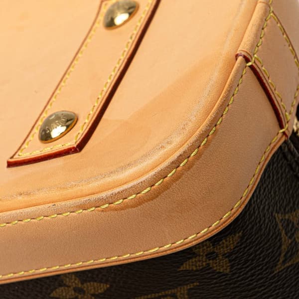 Pre-owned Louis Vuitton Monogram Alma BB Brown