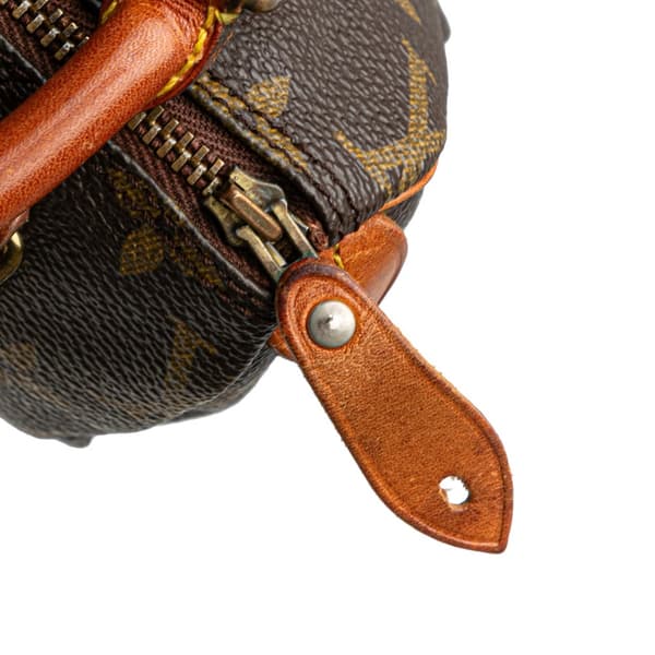 Pre-owned Louis Vuitton Monogram Nano Speedy Bandouliere Brown