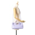 Miniatyrbild 10 av 10: Pre-owned Bottega Veneta Lambskin Intrecciato East West Andiamo Top Handle Bag Purple
