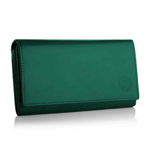 BPD-DZ-10 GREEN Damplånbok BASIC grön