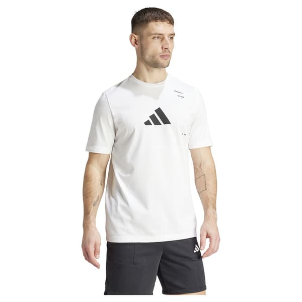 Adidas Category Graphic Lyhythihainen T-paita Valkoinen XL