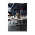 Miniatyrbild 3 av 3: Bosch GSB 18V-50 slagborrskruvdragare - 06019H5101 - 18V 2x5,0 Ah Li-Ion