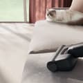 Miniatyrbild 8 av 11: Electrolux Animal 700 EP71AB14UG Skaftdammsugare