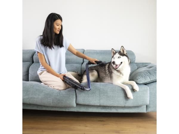 Cecotec 08399, 2-in-1 stick vacuum, Utan påse, Svart, Torr, Mekanisk, Batteri