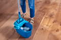 Miniatyrbilde 2 av 5: Leifheit POWER CLEAN, Blå, 1 stykker