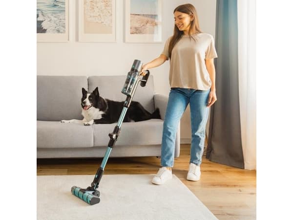 Cecotec Rockstar 3500 Storm Flex Animal Conga, Skaftdammsugare, 2-i-1, Utan påse, Svart, Blå, Rektangulär, Torr, Cyklonisk