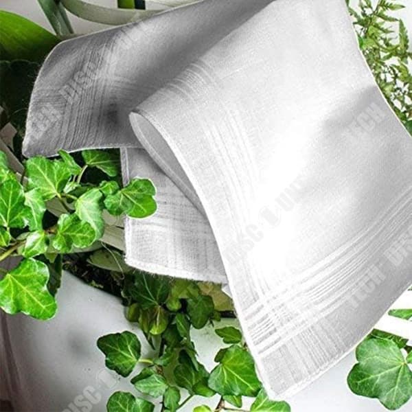 TD® 12 stycken vita näsdukar 100% bomull 38cm*38cm Ekonomiska vita näsdukar damtygsnäsdukar vit bomull Modell Valenti