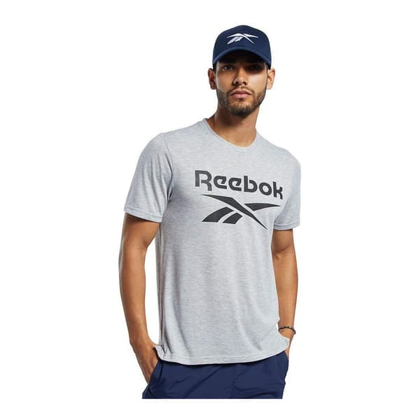 Kortarmet T-skjorte til Menn Reebok Workout Ready Supremium Grå