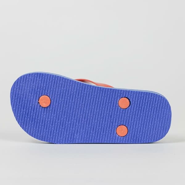 Flip Flops for Barn Sonic