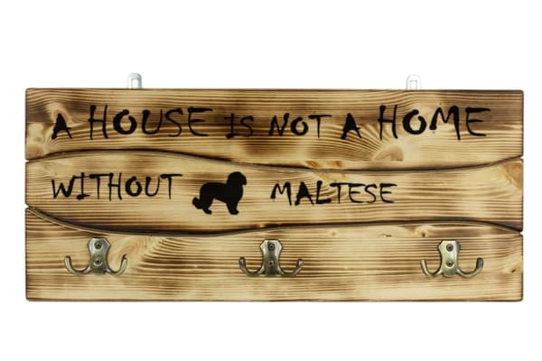 Malta, Bichon Maltiase, Malta - vaateripustin koiran kanssa, mitalinäyttely, Art-Dogin kodin sisustus