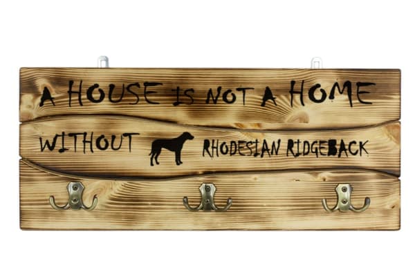 Rhodesian Ridgeback, afrikansk løvehund - bøjle med hund, medaljeudstilling, boligdekoration af Art-Dog