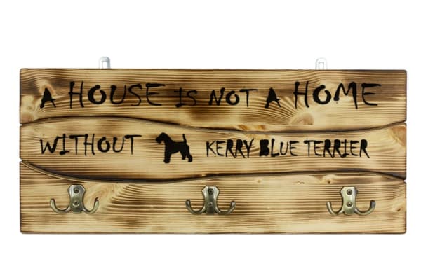 Kerry Blue Terrier, Irish Blue Terrier - bøjle med hund, medaljeudstilling, boligdekoration af Art-Dog