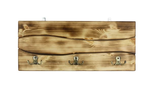 Border Terrier - bøjle med hund, medaljeudstilling, boligdekoration af Art-Dog