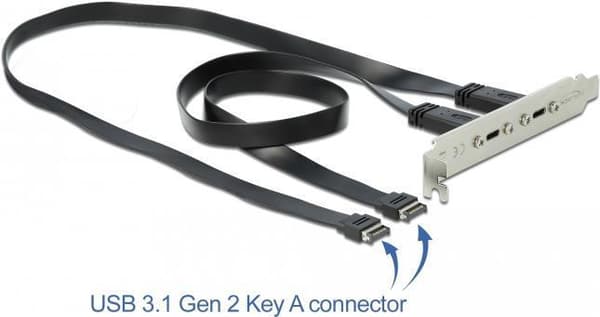 Delock Slot-beslag - USB-konsol - 20-bens USB 3.1 header (M) til USB-C (W) - 20 V - 3 A - 50 cm - sort (89935)
