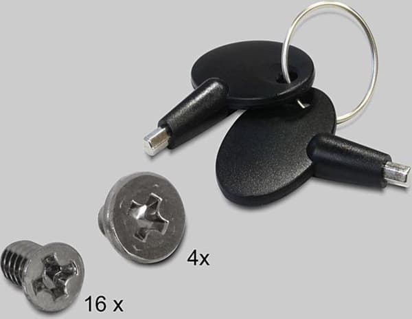 Delock - 5,25? Wechselrahmen für 4 x 2,5? SATA HDD / SSD