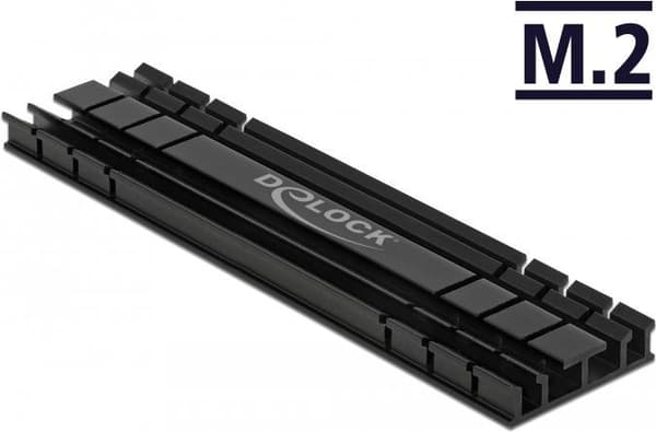 DeLOCK Kylfläns platt 100 mm för M.2 modul svart - Solid State Drive kylfläns - svart