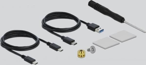 Delock ext. Boliger. M.2NVMe PCIe SSD med USB-C adapterstik