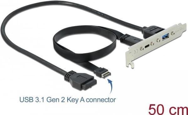 DeLOCK Slot beslag - USB-konsol - 19-bens USB3.0 header, 20-pin USB 3.1 header til USB Type A, USB-C (F) - 5 / 20 V - 50 cm - sort (89934)
