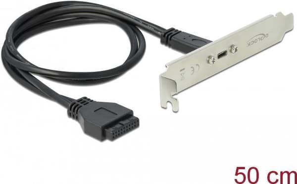 DeLOCK Slotsfäste - USB-konsol - 19-stifts USB3.0-huvud (F) till USB-C (F) 900 mA - 50 cm - svart (89937)
