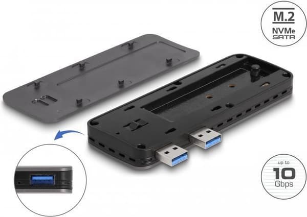 Delock - Lagerkabinet - M.2 - NVMe PCIe - PCIe, SATA, USB 3.2 (Gen 2) (42013) Sort