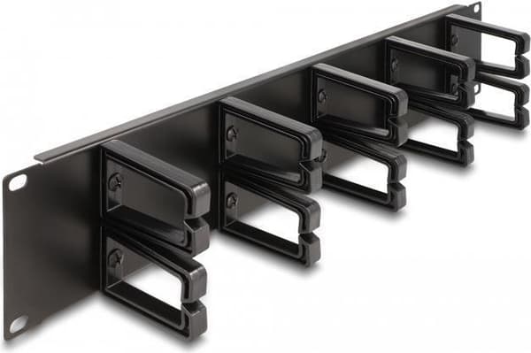 Delock - Installationskort til rack-kabelstyring - med 10 plastikkroge - sort - 2U - 48,3 cm (19") (66917)