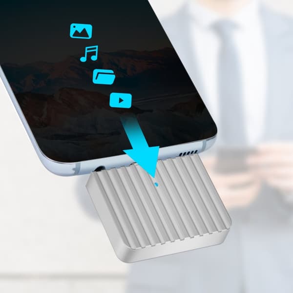 LogiLink Mini-kabinett för PCIe NVMe SSD USB-C Aluminium