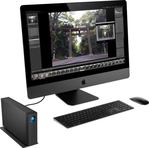 LaCie d2 Professional STHA10000800 - Harddisk - 10 TB - ekstern (desktop) - USB 3.1 (USB-C-stik) - med Seagate Rescue Data Recovery