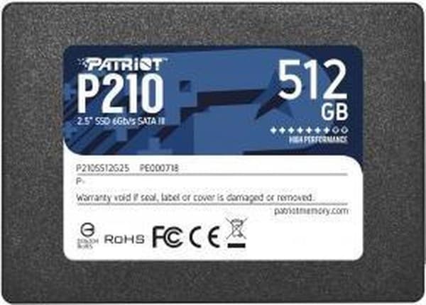 Patriot-minne P210 2,5" 256 GB seriell ATA III