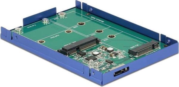 DeLOCK externt 2,5" hölje för M.2 SSD (max. 80 mm) / mSATA SSD (halv storlek / full storlek) - USB3.1 / blå