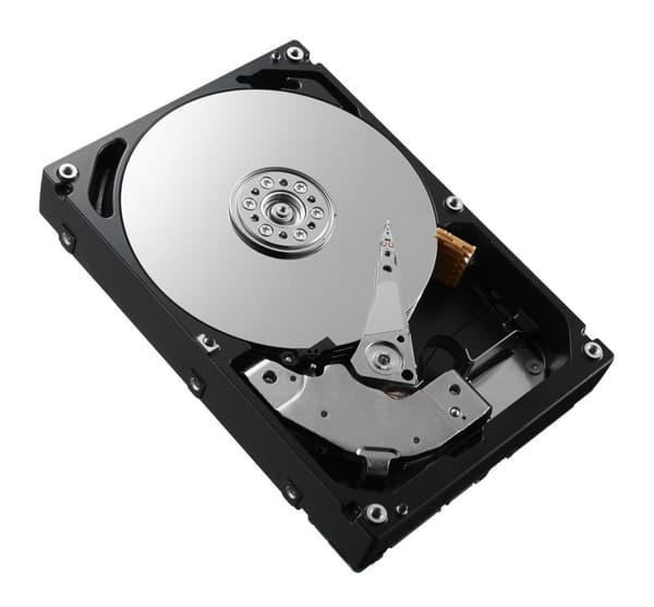 DELL 400-AJOW intern harddisk 2,5" 600 GB SAS (W125846687)