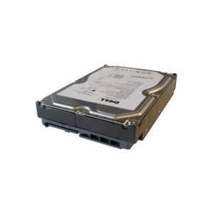 Dell - Harddisk - 1 TB - intern - 3,5" (8,9 cm) - SAS - NL - 7200 rpm - til PowerEdge C6220, R220, R320, T110, T320, T420, T430, T630, VRTX, PowerEdge