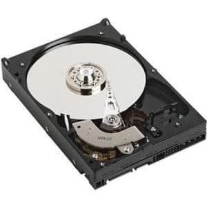 Dell - Kiintolevy - 1 Tt - 8,9 cm (3,5") - SAS 6 Gb/s - 7200 rpm
