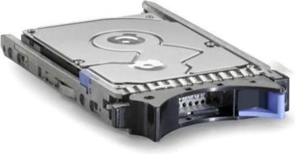 IBM dual port - harddisk - 600 GB - hot-swap - 6,4 cm (2,5") - SAS 6 Gb/s - 10000 rpm - til System Storage DS3524 Model C4A
