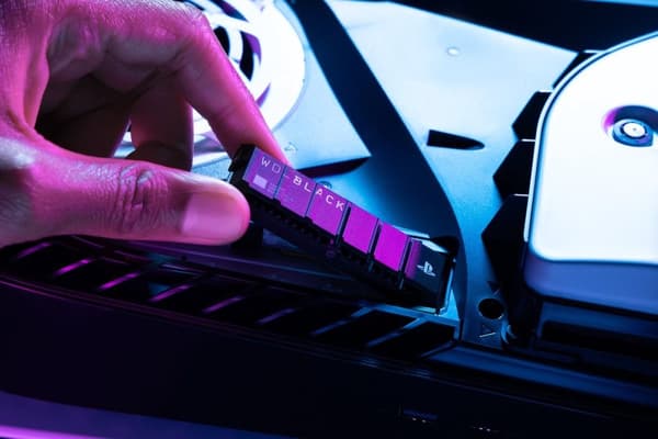 Western Digital Black SN850P - Intern SSD med kylfläns - NVMe M.2 - PCIe 4.0 - Lämplig för PS5 - 1 TB