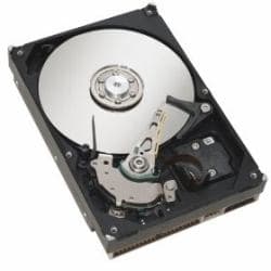 Fujitsu Business Critical - kiintolevy - 1 TB - sisäinen - 2,5" (6,4 cm) - SATA 6 Gb/s - 7200 rpm - Celsius C740, J550, J580, M7010, M740, M770, R940,