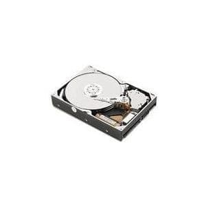 IBM Lenovo - Hårddisk - 1 TB - Hot-Swap - 2,5" SFF (6,4 cm SFF) - SATA 6Gb/s - NL - 7200 rpm - (CRU) - Tier 1 - för BladeCenter HS22, System x3100 M5,