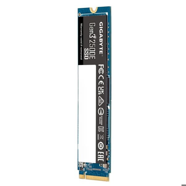 Gigabyte G325E2TB