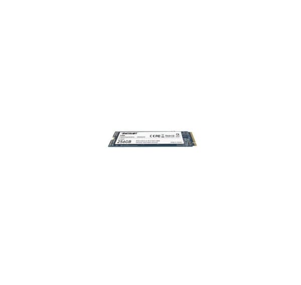 SSD Patriot P300